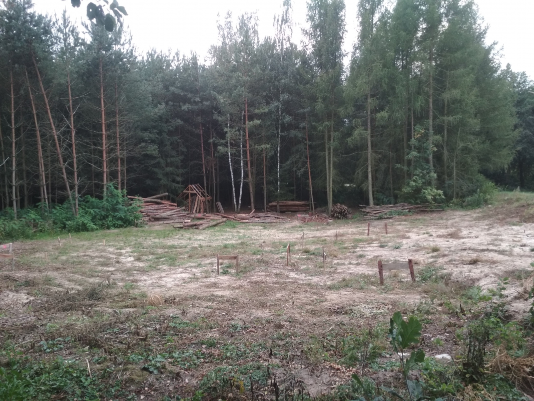 Zdjęcie do wpisu: Zaczynamy!